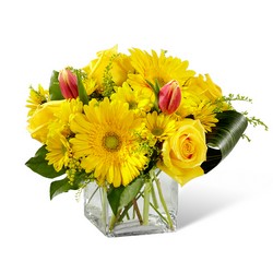 Spring Sunshine Bouquet -A local Pittsburgh florist for flowers in Pittsburgh. PA